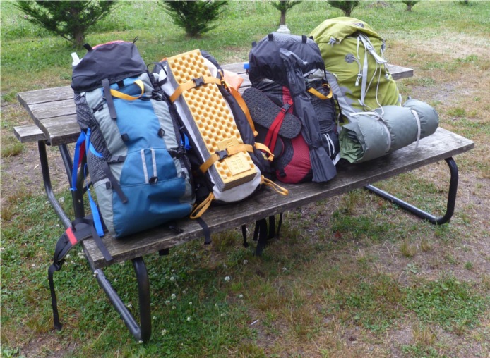 Fig 1: Packs at the Long Fir